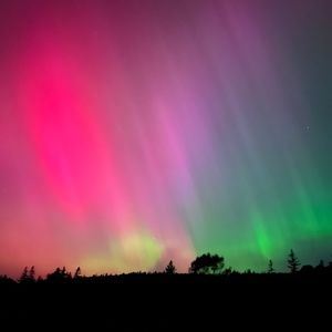 Meet your Posher, Janet